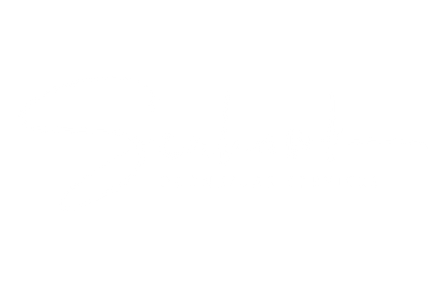 Seahawk Drone/UAS Services