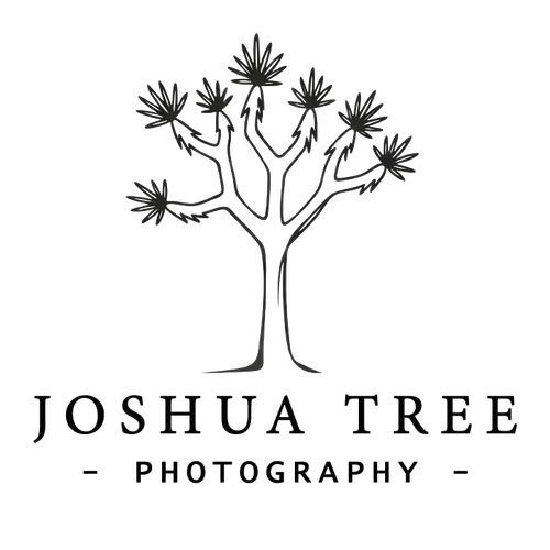 Joshua Tree Photography