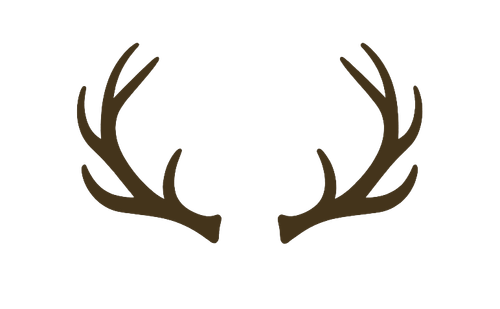 site-logo