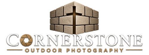 site-logo