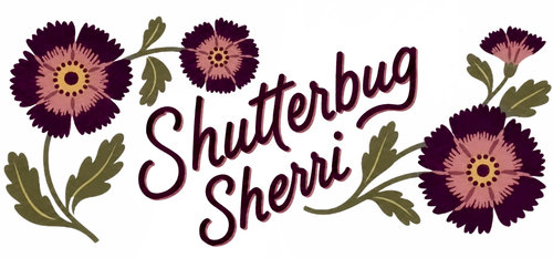 site-logo