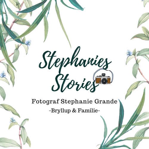 Stephanies Stories