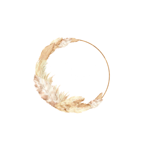 Moments Photography