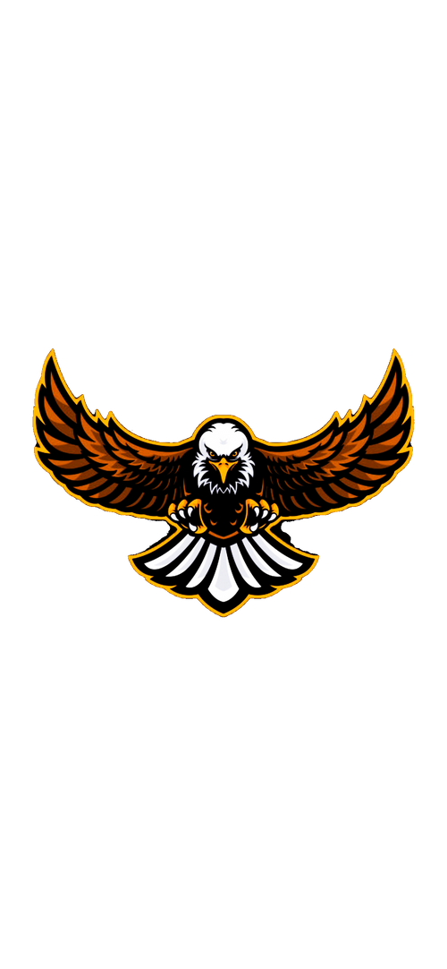 Eagle Visuals