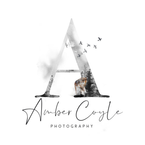 site-logo