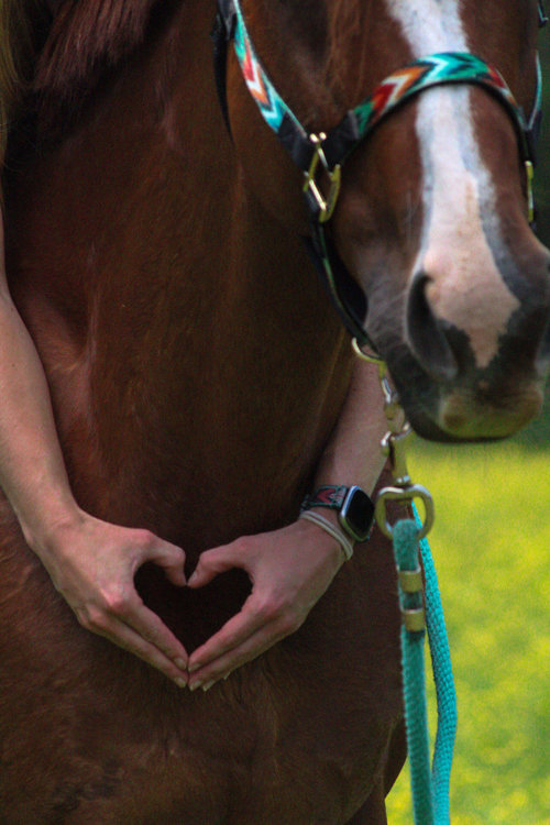 Hoof Beats Media
