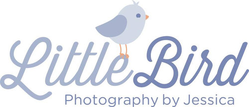 Little Bird Photography by Jessica