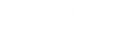 Empowering Grace Photography