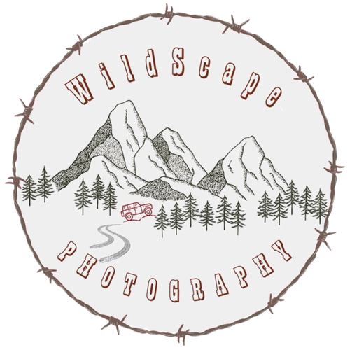 site-logo