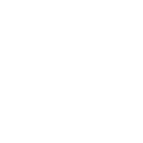 Little Big Tales Photography