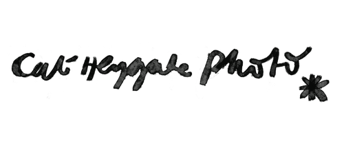 site-logo