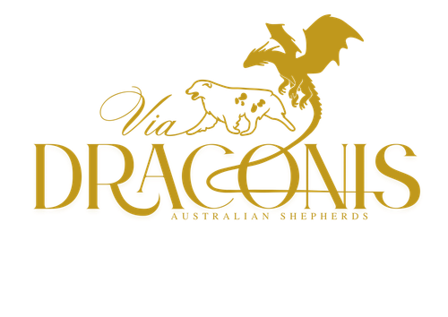 Via Draconis