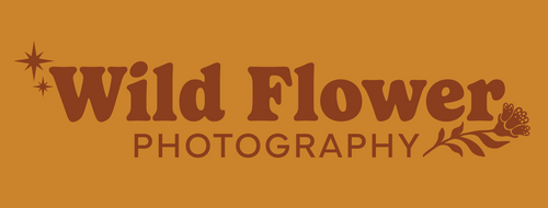 Wildflower Photography