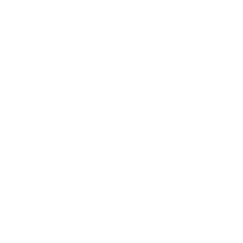 Wonderful Things Photography