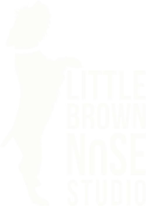 Little Brown Nose Studio