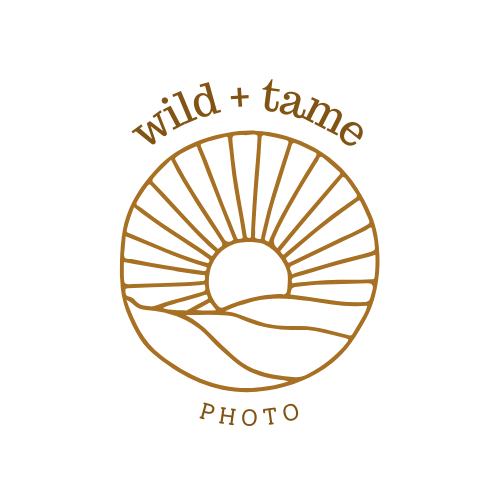 wild + tame studio