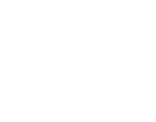 Lisa Bühler Photography