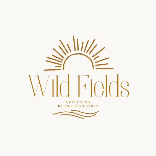 Wild Fields, by Ashleigh Carey