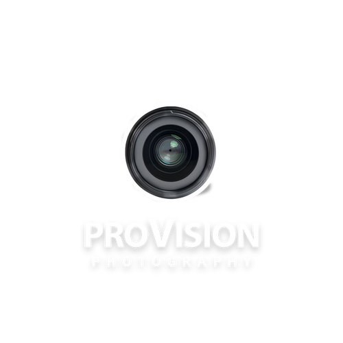 ProVision