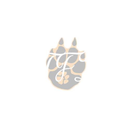 TFL Studio