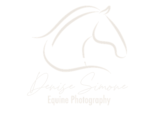 Denise Simone Photography