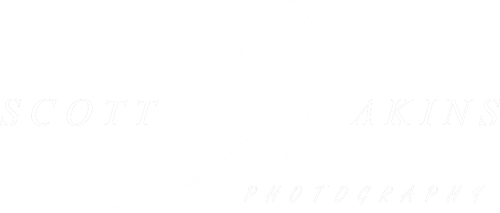 site-logo
