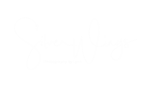 Silver Wings Photography by Lynn