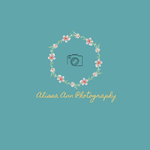Alissa Ann Photography