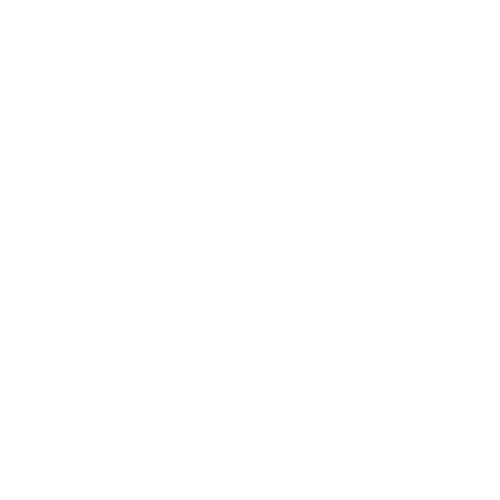 Zoe Ann Photo