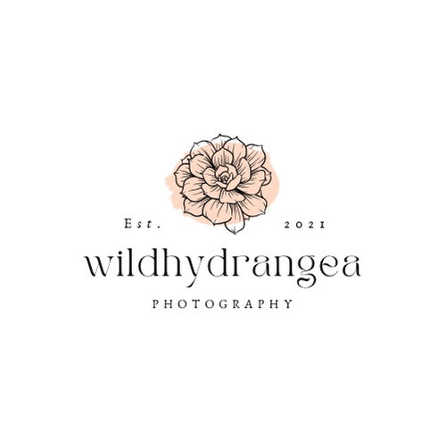wildhydrangea Photography