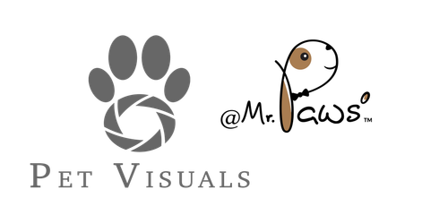 Pet Visuals