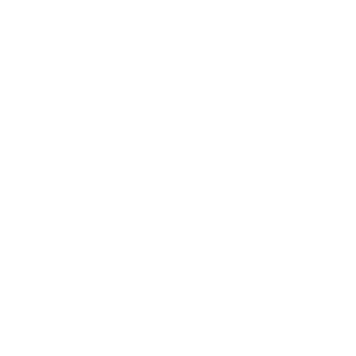 Joshua Lew Media