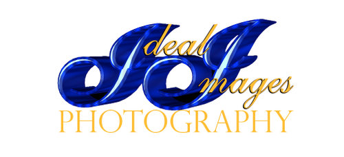 site-logo