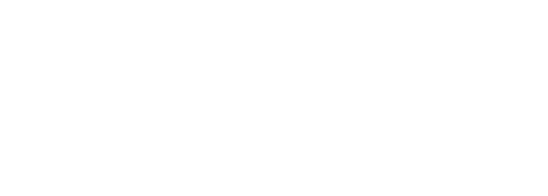 Dani Nesselroad Digital Marketing Services