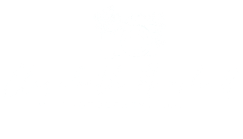 Elizabeth Marshall Photography LLC