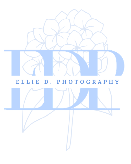 Ellie D. Photography