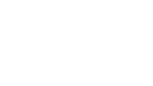 VirtuallyVids