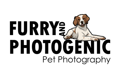 Furry and Photogenic - Pet Photography