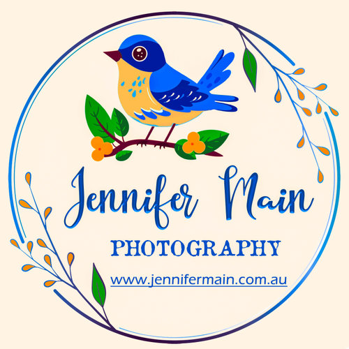 Jennifer Main Photography