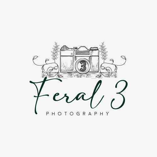 Feral 3 Photography