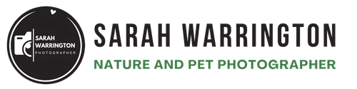 site-logo
