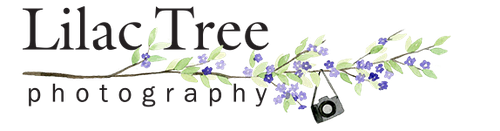 Lilac Tree Photography