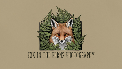 Fox in the Ferns