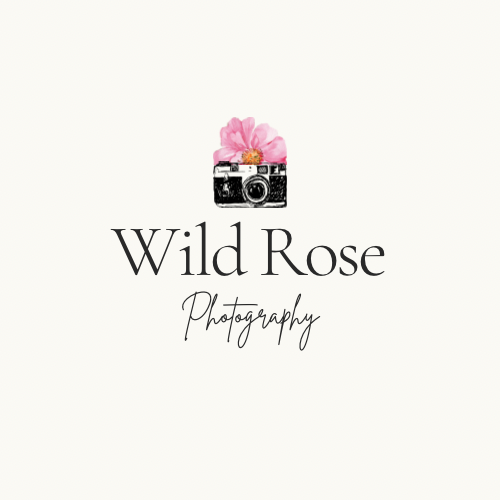 Wild Rose Photography