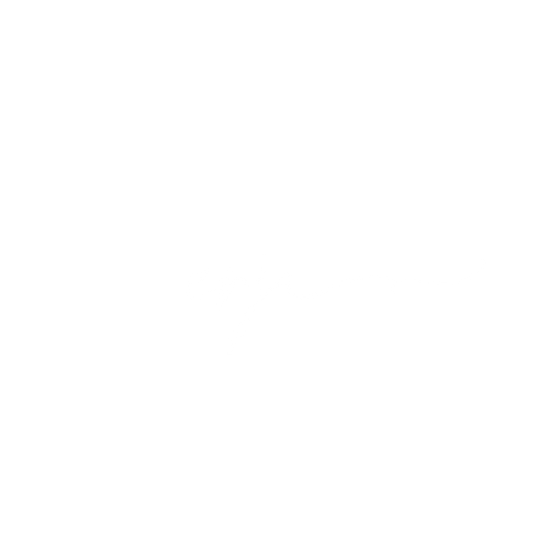 ERJ STUDIO