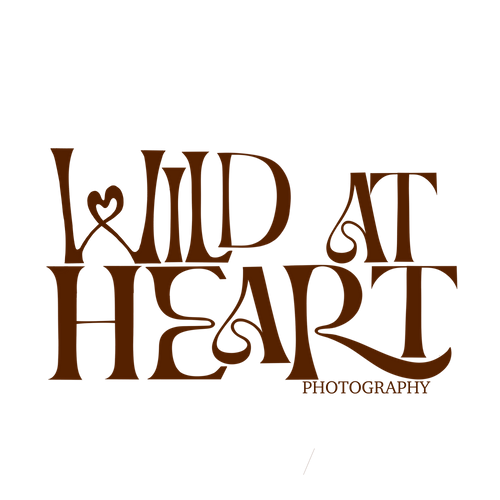 Wild At Heart Photography