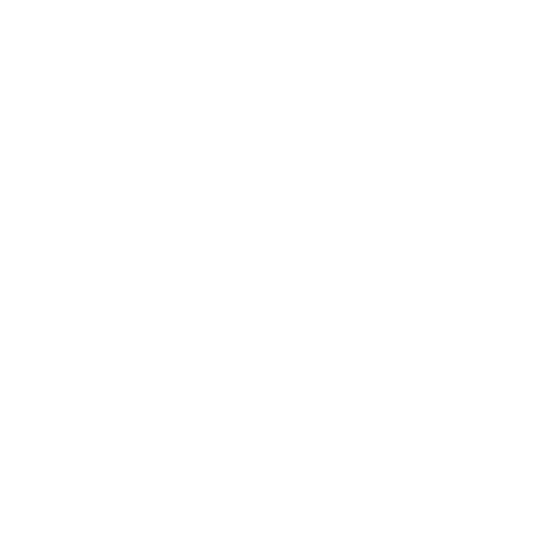 Alyssa Turan Photography