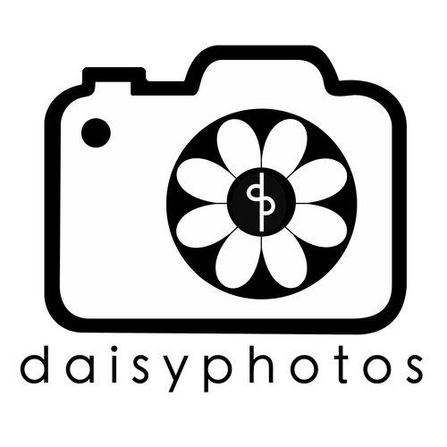 Daisy Photos