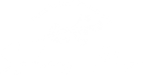 Nomadic Land Photography