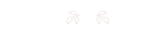 Brittany Rose Photography